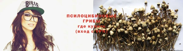 альфа пвп Баксан