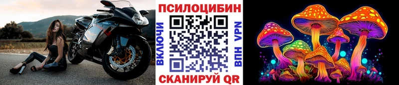 Галлюциногенные грибы мухоморы  Семёнов 